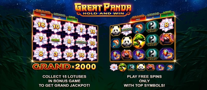 großer panda-jackpot